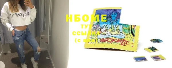 ПСИЛОЦИБИНОВЫЕ ГРИБЫ Няндома