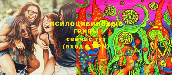 ПСИЛОЦИБИНОВЫЕ ГРИБЫ Няндома