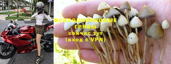 скорость Нязепетровск