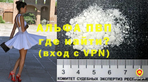 стаф Кедровый