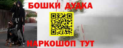 индика Донецк