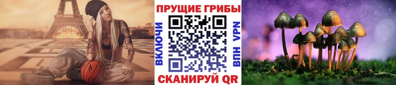 сайты даркнета официальный сайт  omg рабочий сайт  Галлюциногенные грибы мухоморы  Кубинка  магазин продажи наркотиков 