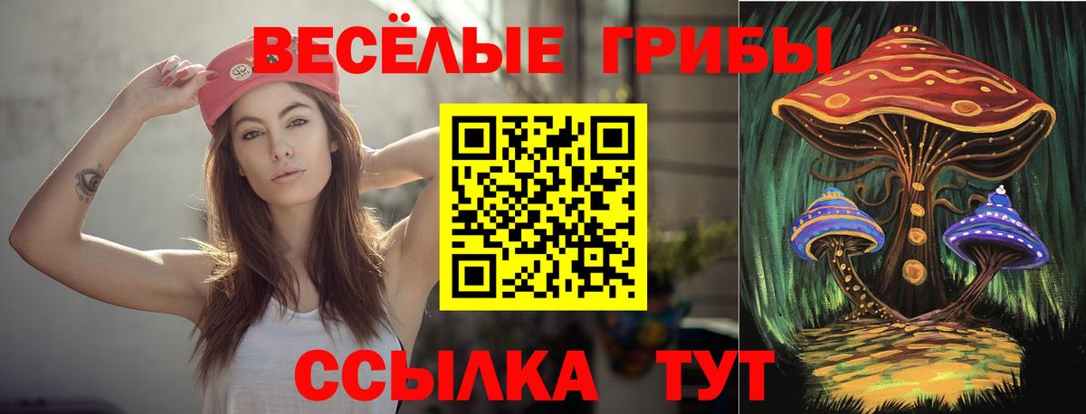 Псилоцибиновые грибы Cubensis  Псилоцибиновые грибы Cubensis  Кубинка  Вход с VPN 